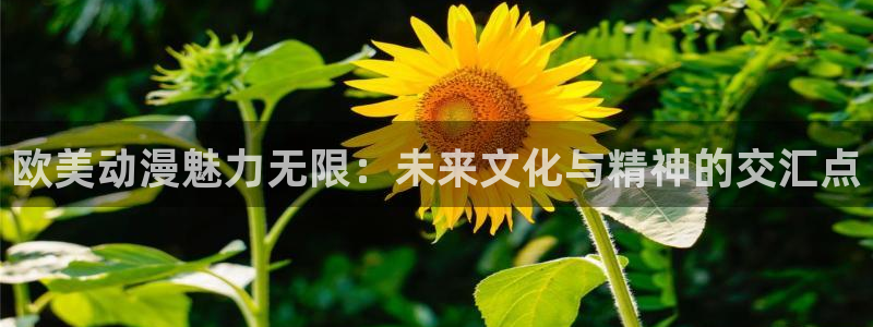 omofun 宕卧