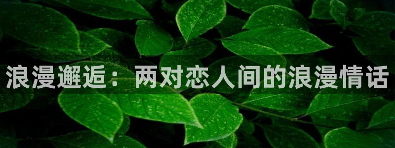 动漫软件omofun