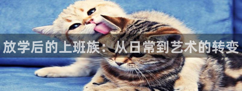 omofun动漫视频