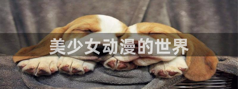 omofun动漫软件下载