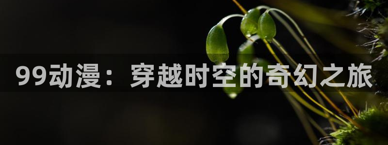 o站omofun官网
