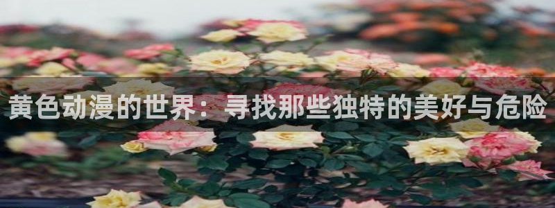 omofun网页入口