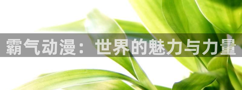 omofun网站入口
