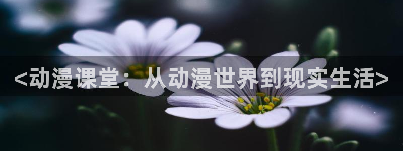 omofun官方下载入口