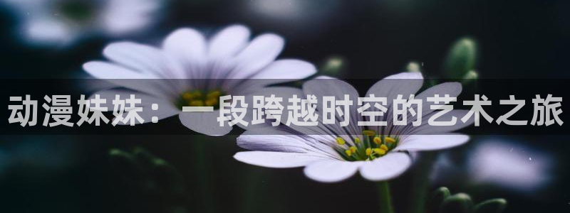 omofun官网在线：动漫妹妹：一段跨越时空的艺术之旅