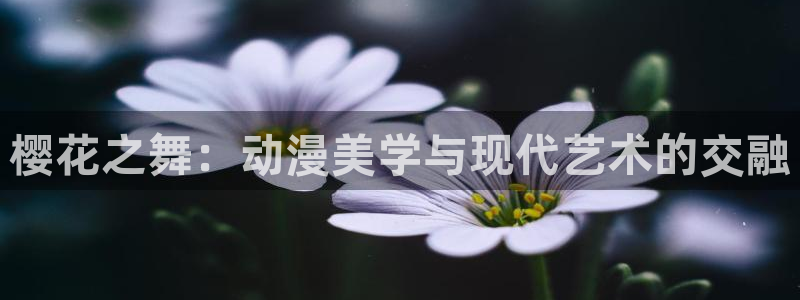 omofun动画网