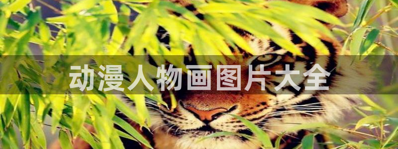 omofun注册