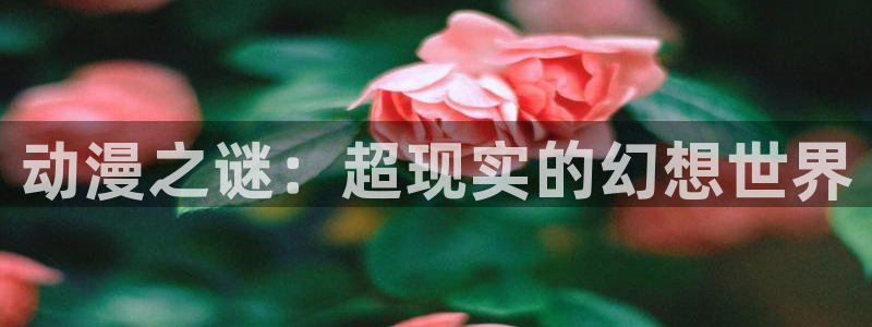 omofun下载