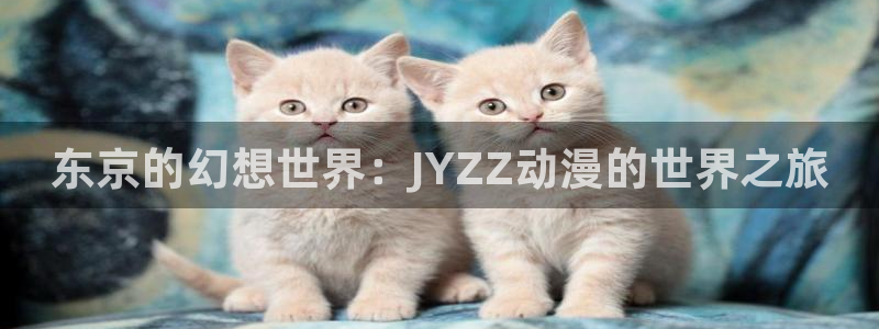 omofun官网正版